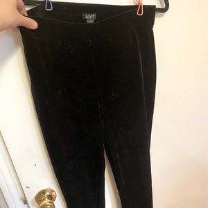 LOFT Velvet Work Leggings